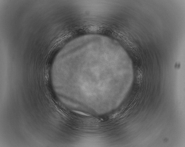 X0000094820746200712141644