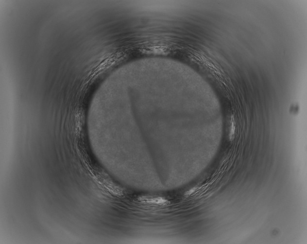 X0000094820747200712141644