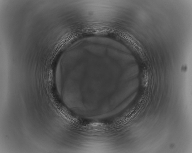 X0000094820748200712141644