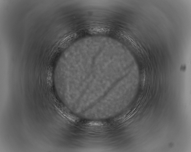 X0000094820749200712141644