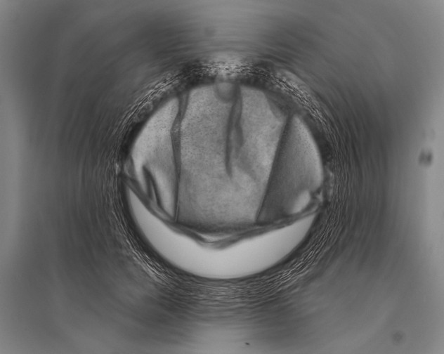 X0000094820750200712141644