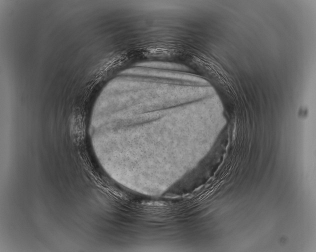 X0000094820751200712141644