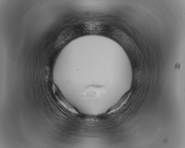 X0000094820752200712141644