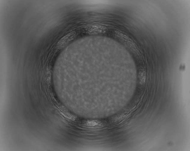 X0000094820753200712141644