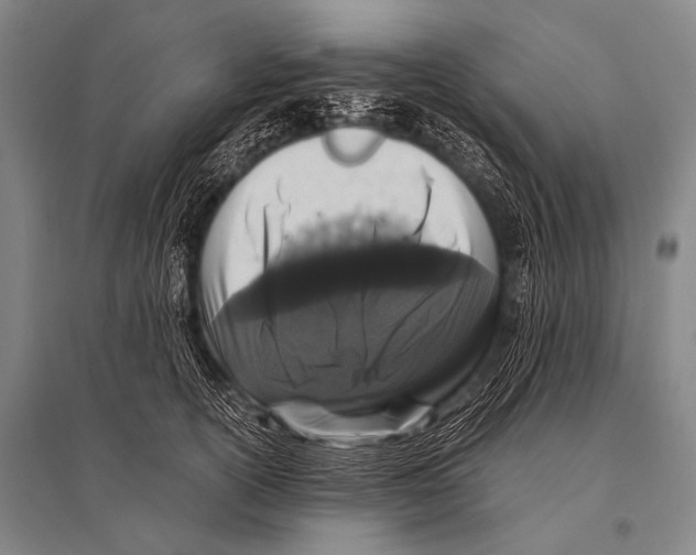 X0000094820754200712141644