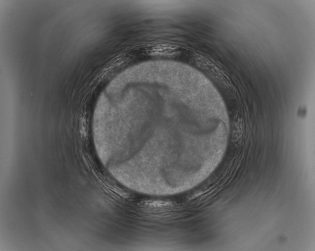 X0000094820755200712141644