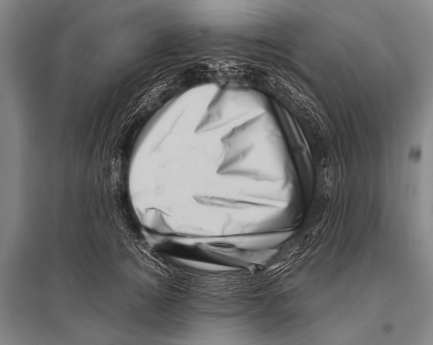 X0000094820756200712141644