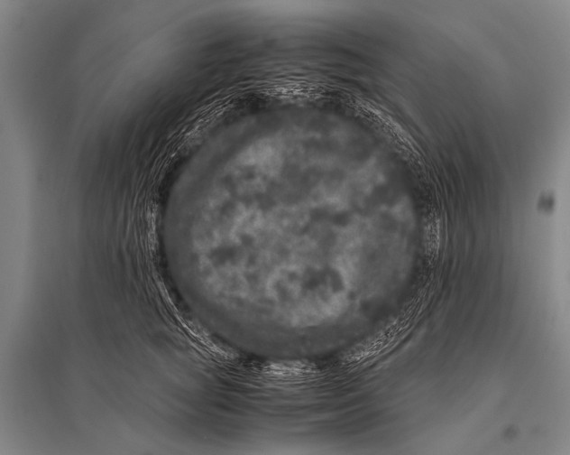 X0000094820757200712141644