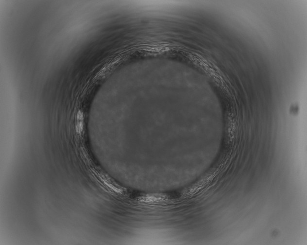 X0000094820758200712141644