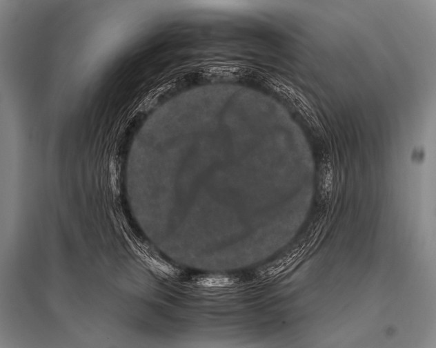 X0000094820759200712141644