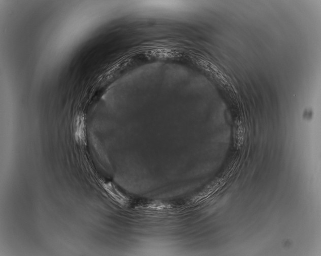 X0000094820760200712141644