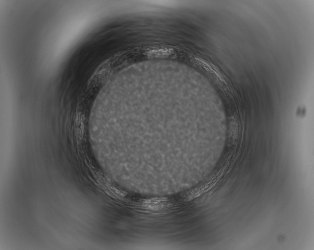 X0000094820761200712141644