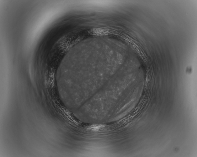 X0000094820762200712141644