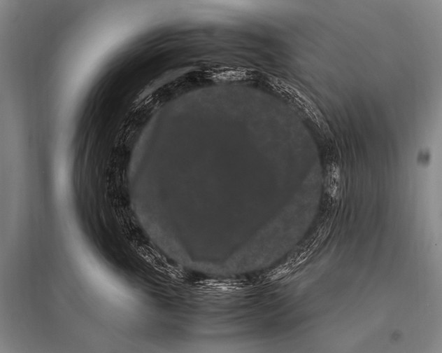 X0000094820763200712141644