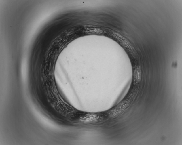 X0000094820764200712141644