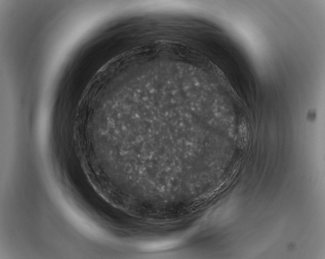 X0000094820765200712141644