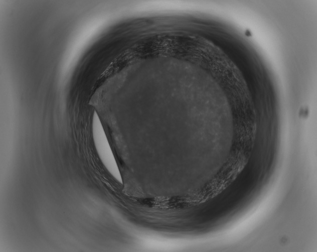 X0000094820766200712141644