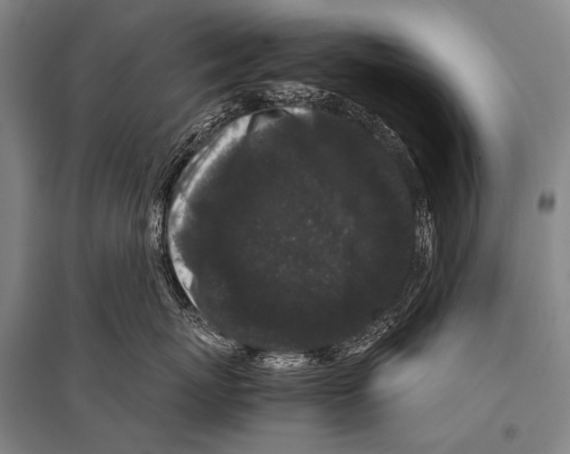 X0000094820767200712141644