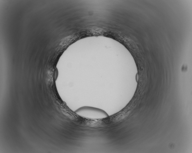 X0000094820768200712141644