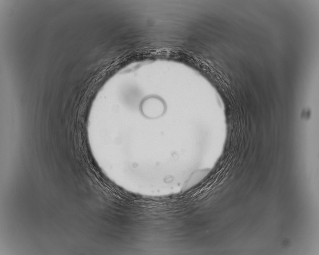 X0000094820769200712141644