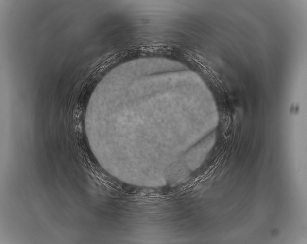 X0000094820770200712141644