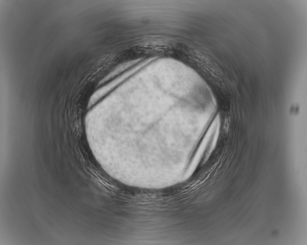 X0000094820771200712141644