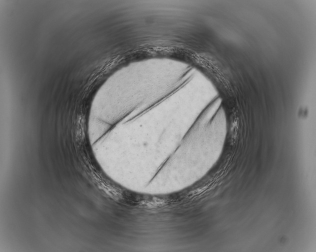 X0000094820772200712141644