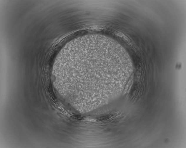 X0000094820773200712141644