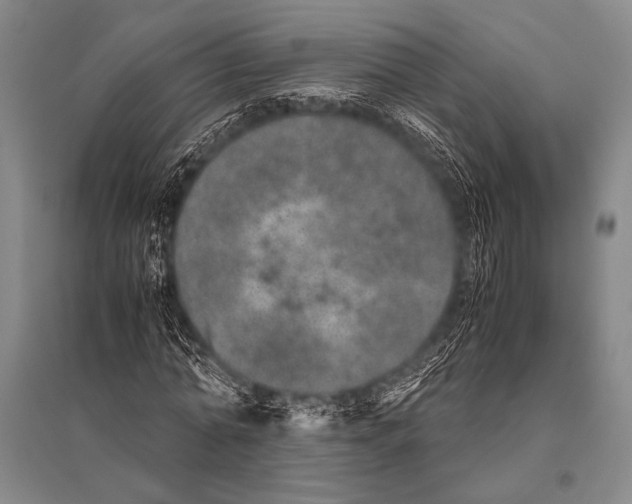 X0000094820774200712141644