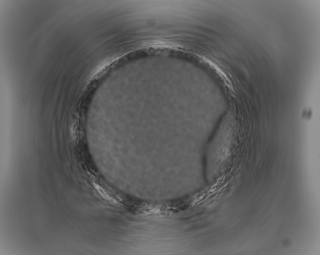 X0000094820775200712141644