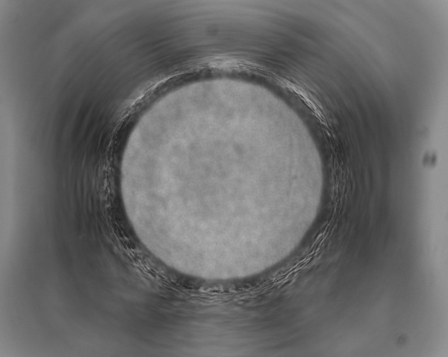 X0000094820776200712141644