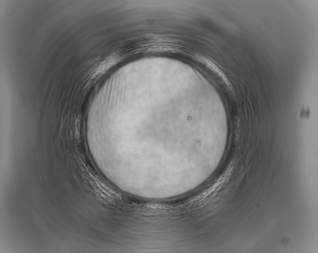 X0000094820777200712141644