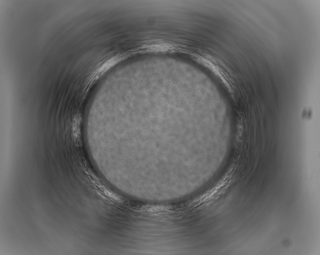 X0000094820778200712141644