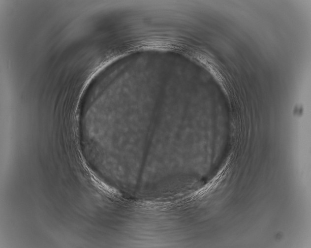 X0000094820779200712141644