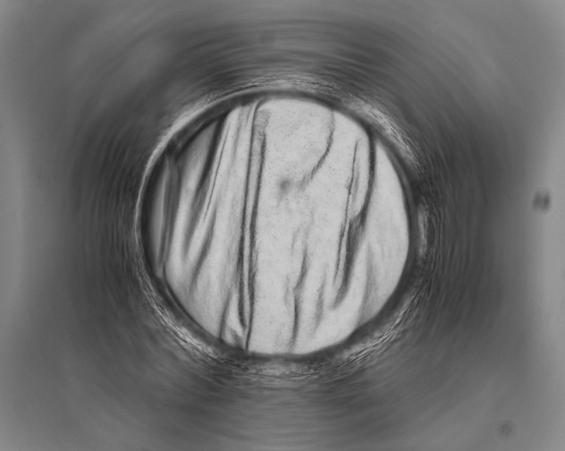 X0000094820780200712141644