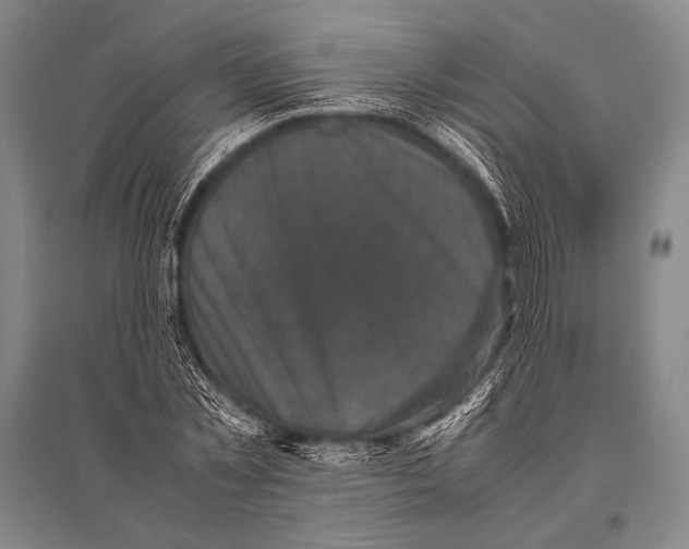 X0000094820781200712141644