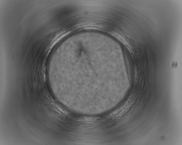 X0000094820782200712141644