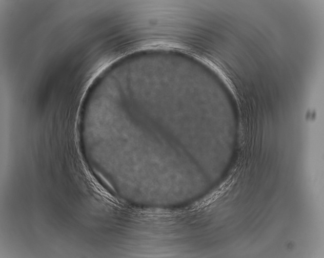 X0000094820783200712141644