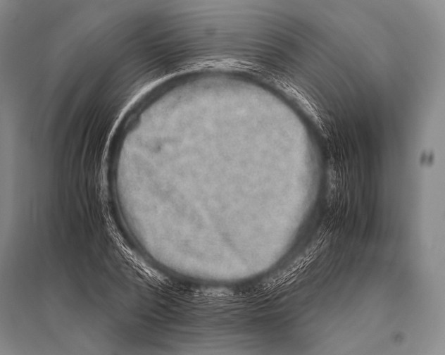 X0000094820784200712141644