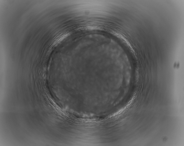 X0000094820785200712141644