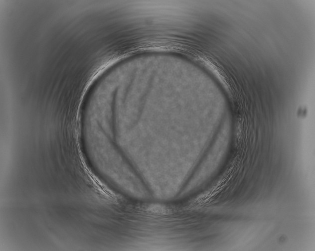 X0000094820787200712141644