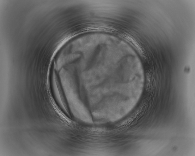 X0000094820788200712141644