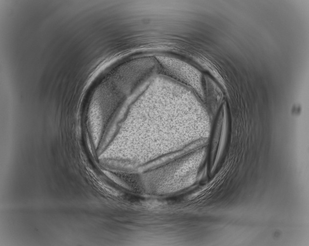 X0000094820789200712141644