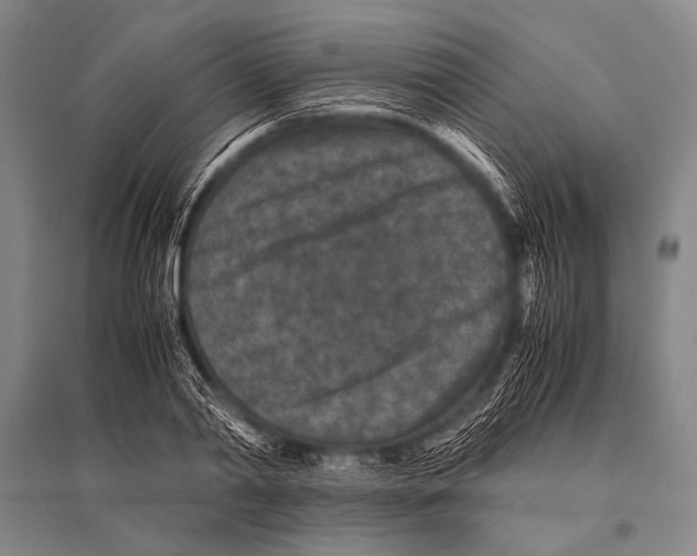 X0000094820790200712141643