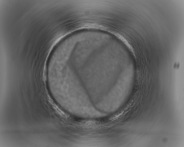 X0000094820791200712141643