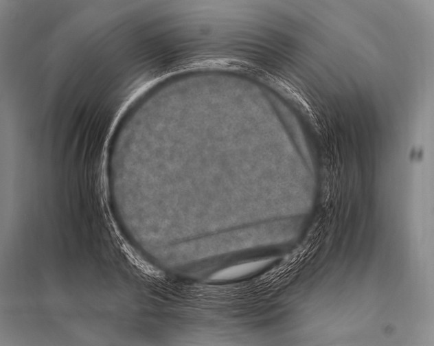 X0000094820792200712141643