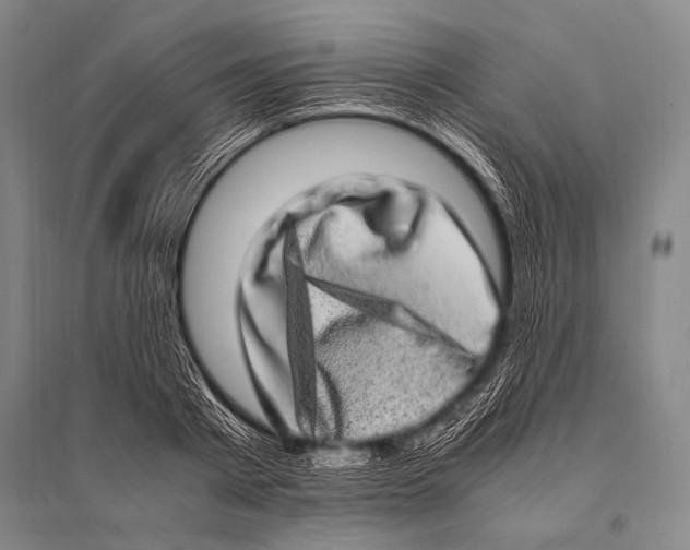 X0000094820793200712141643