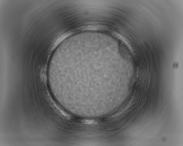 X0000094820794200712141643