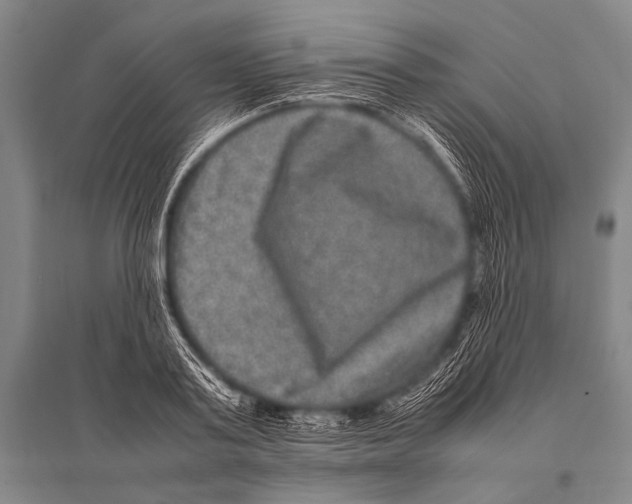 X0000094820795200712141643