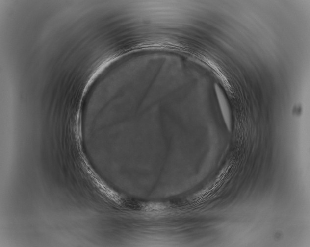 X0000094820796200712141643